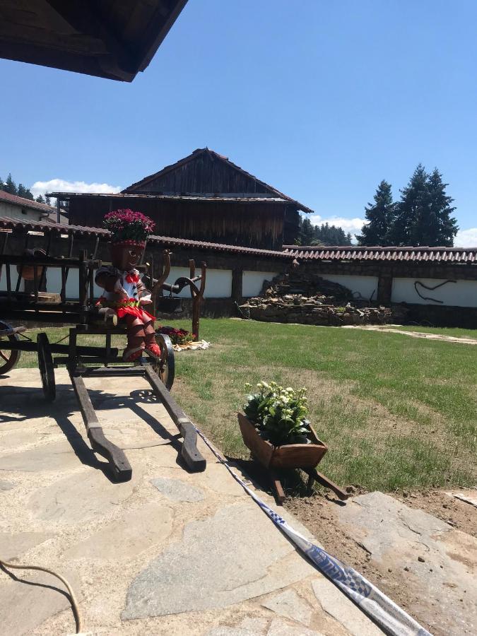 Къща За Гости Бабуч Dobriniște Exterior foto