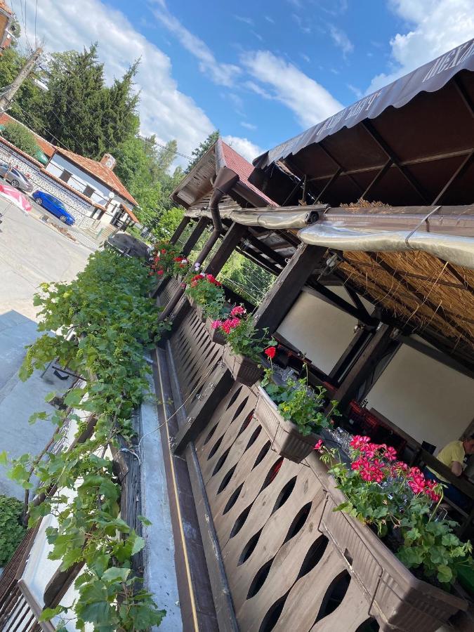 Къща За Гости Бабуч Dobriniște Exterior foto