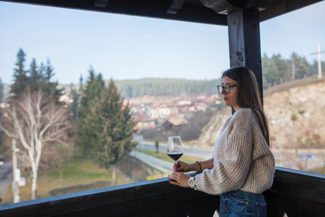 Къща За Гости Бабуч Dobriniște Exterior foto